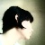:icongreenchin:
