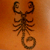 :icongreenchyldes-art: