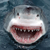 :icongreencreeper: