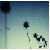 :icongreenday75: