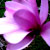 :icongreendaylover2244: