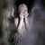 :icongreendday-girl: