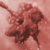 :icongreendragonflies: