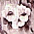 :icongreeneyedcelt: