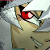 :icongreeneyedgold: