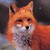 GreenFlower14520 :icongreenflower14520: