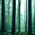:icongreengods: