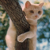 :icongreengravy: