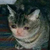 :icongreenguy312: