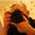 :icongreenie-uk: