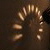 :icongreenk1087: