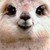:icongreenkeller: