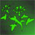:icongreenlilly444: