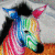 :icongreenlimit: