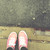 :icongreenmeadowlark: