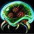 :icongreenmetroid72: