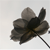 :icongreenmnie: