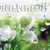:icongreenperson-29: