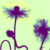 :icongreenpoppy: