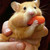 :icongreenpotatomasher: