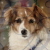 :icongreensquirrel: