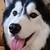 :icongreenvenom91: