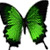 :icongreenyberry: