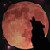:icongreetzmoi:
