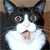 :icongreg2613: