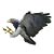 :icongregor909: