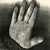 :icongregorsamsa888: