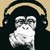 :icongregrefr: