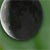 :icongregtedwards: