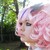 :icongrellakafruitqueen: