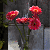 :icongremlich: