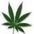 :icongrenada-love-life: