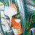 :icongrenadier13: