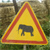 :icongrenouillebleue: