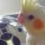 :icongretaotoglasswing: