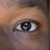 :icongrey-fox24: