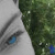 :icongrey-pixie:
