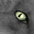 :icongrey-stripes: