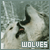 :icongrey-wolf-taja: