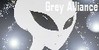 :icongreyalliance: