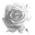 :icongreydaze234: