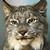 :icongreyerlynx: