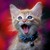 :icongreymoon1131: