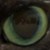 :icongreymulkin: