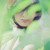:icongreynomore: