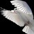 :icongreyscaledove: